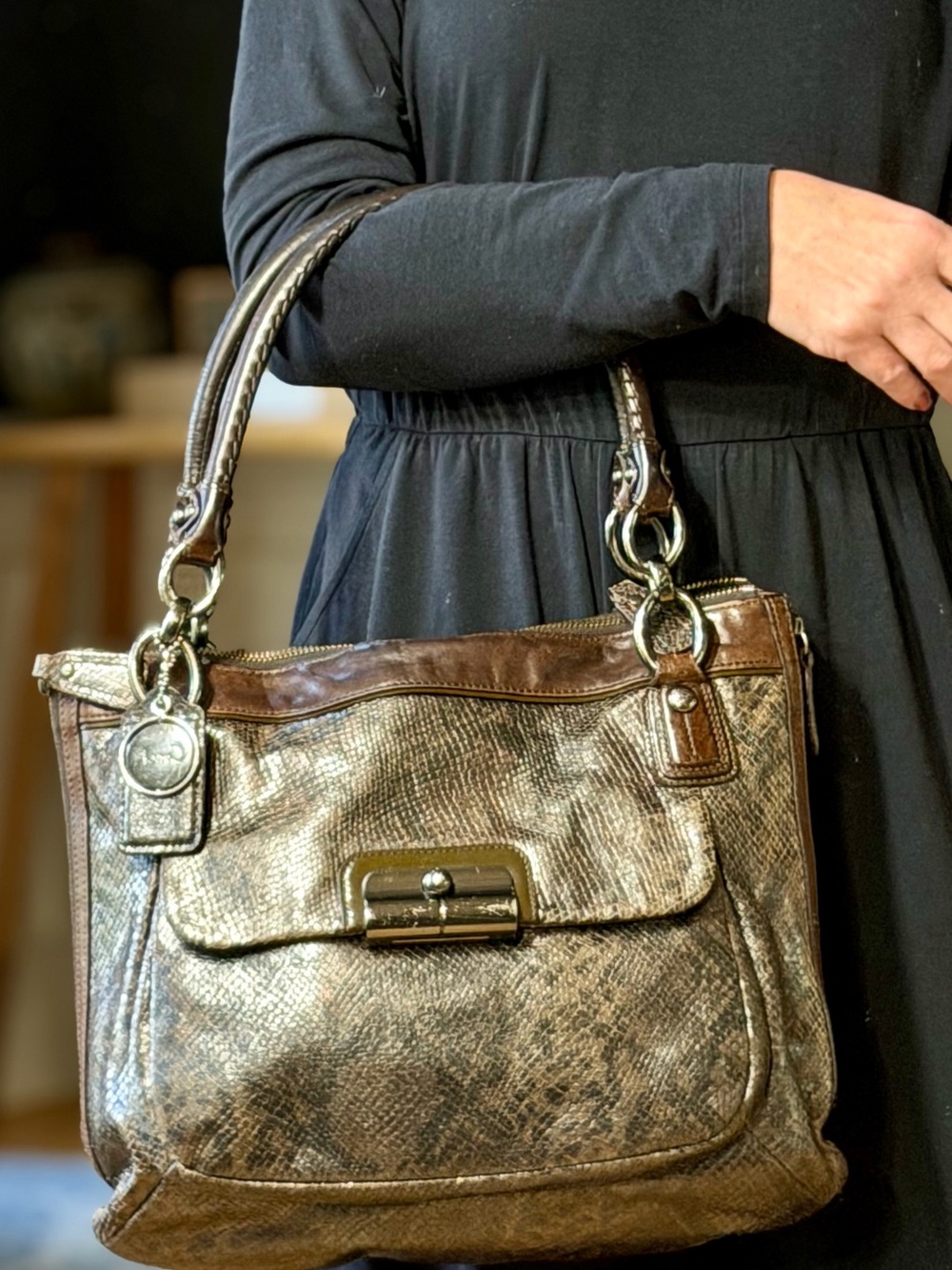Coach Old Money 2011 Kristin Python Embossed Leather Tote Bronze